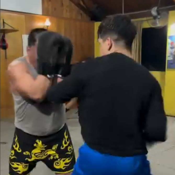 Entrenamiento de pads en el dojo